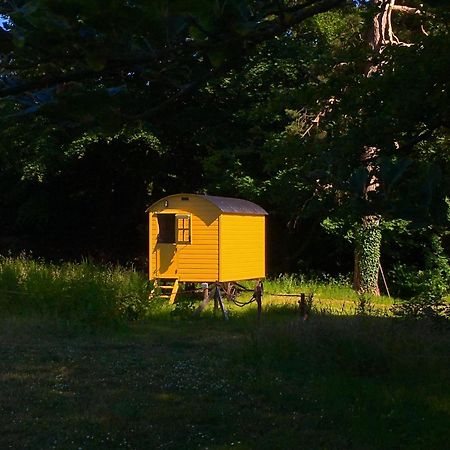 Blackstairs Shepherds Huts Killedmond 외부 사진