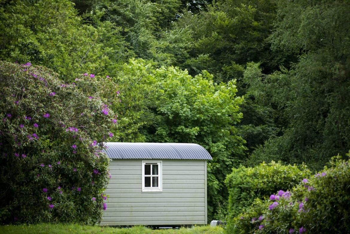 Blackstairs Shepherds Huts Killedmond 외부 사진