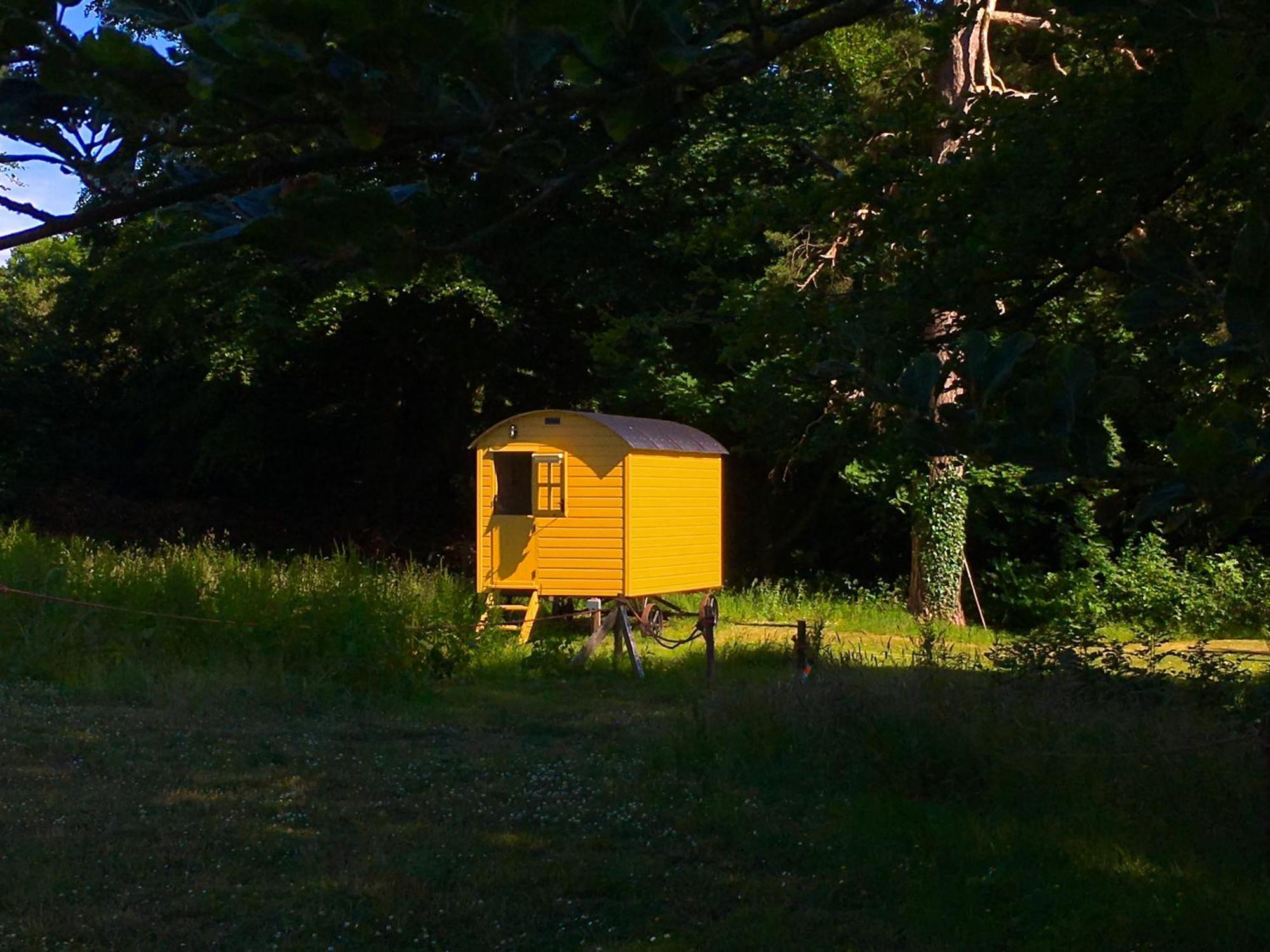 Blackstairs Shepherds Huts Killedmond 외부 사진
