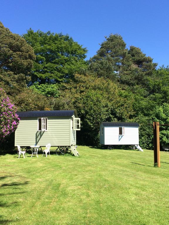 Blackstairs Shepherds Huts Killedmond 외부 사진