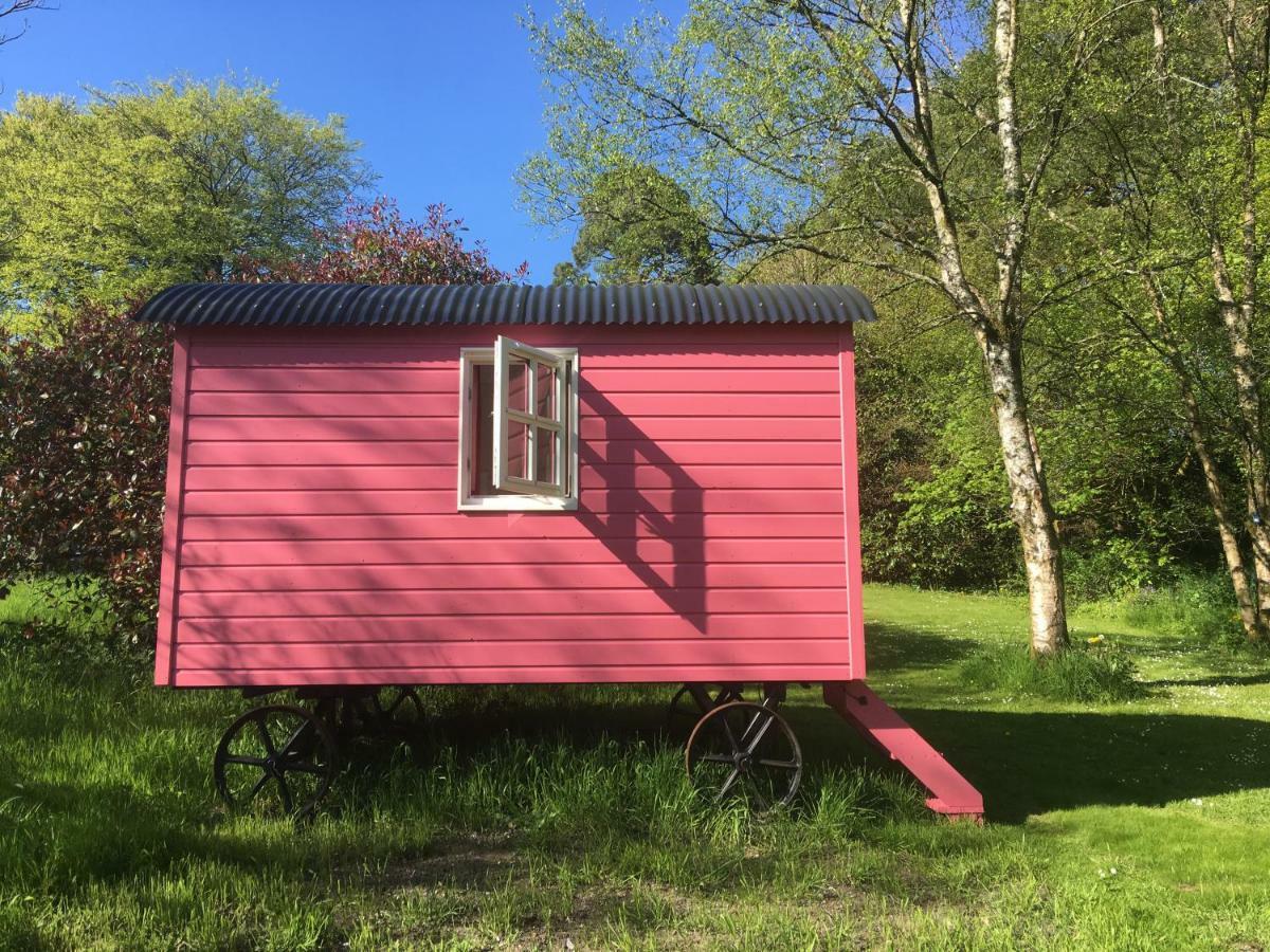 Blackstairs Shepherds Huts Killedmond 외부 사진