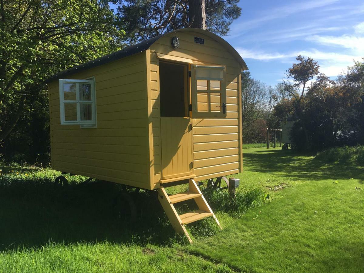 Blackstairs Shepherds Huts Killedmond 외부 사진